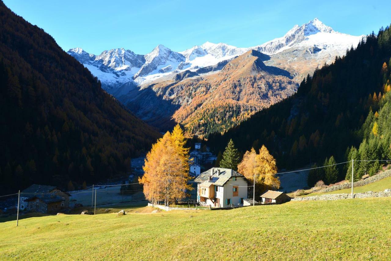 Il Cortese Chiareggio ภายนอก รูปภาพ