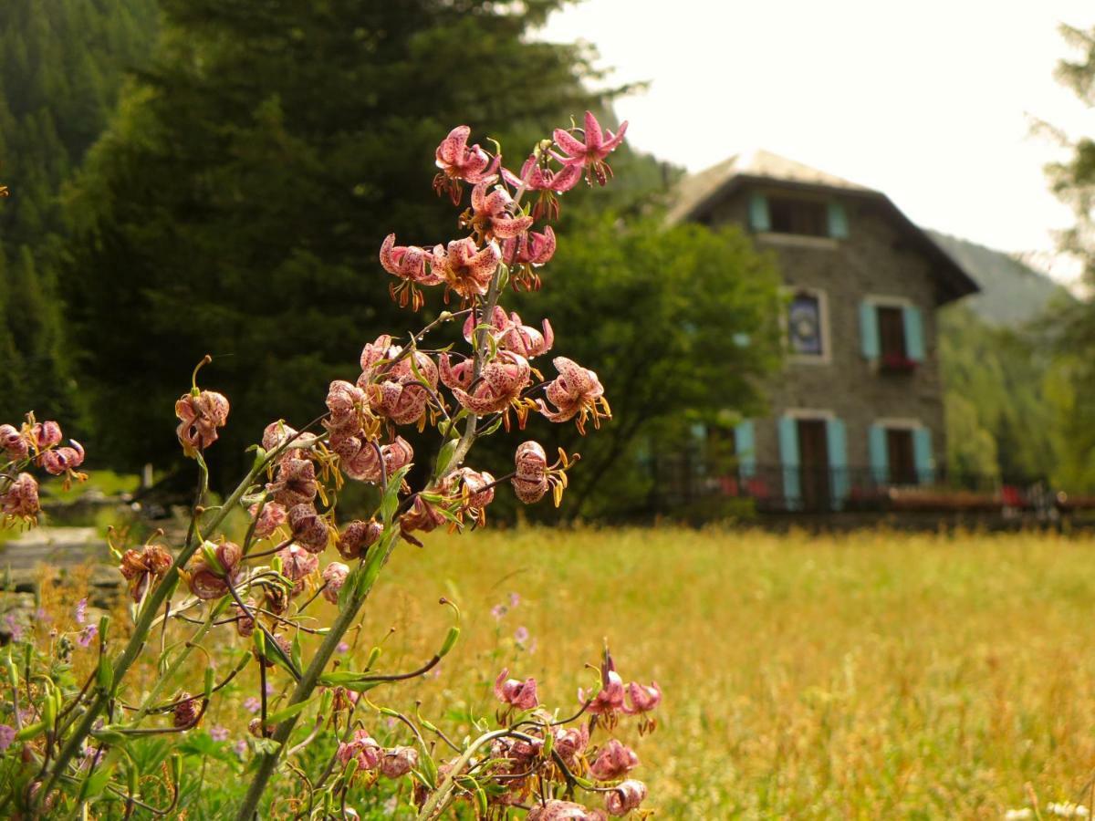 Il Cortese Chiareggio ภายนอก รูปภาพ