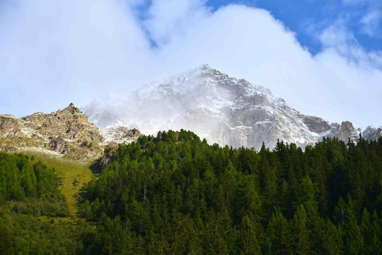 Il Cortese Chiareggio ภายนอก รูปภาพ