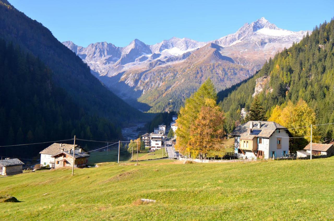 Il Cortese Chiareggio ภายนอก รูปภาพ