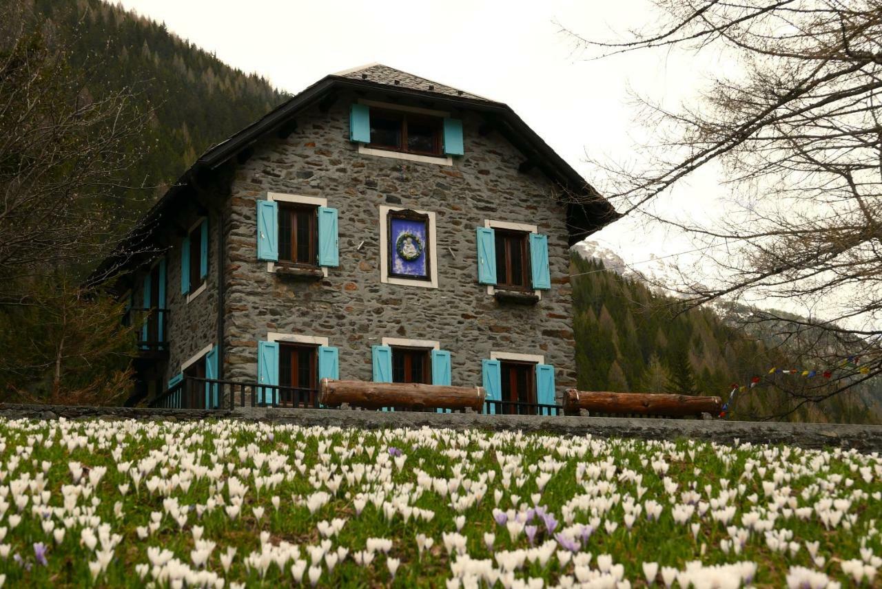 Il Cortese Chiareggio ภายนอก รูปภาพ